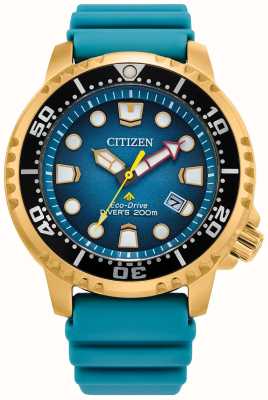 Citizen Męski zegarek promaster diver eco-drive z turkusową tarczą i niebieskim paskiem z PU BN0162-02X